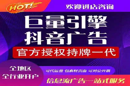 SEM推广实战：成功案例解读与策略调整